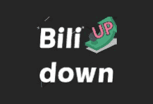 Bilidown(B站视频下载工具) v1.2.5 中文绿色版-优享软件